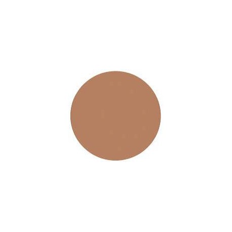 SHISEIDO PROTECTOR SOLAR COMPACTO CON COLOR SPF 30  12g