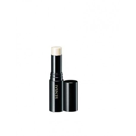 SKIN FOCUS CORRECTOR 5,6gr