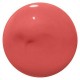 SHISEIDO LACQUERINK LIP SHISE 6ml