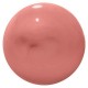 SHISEIDO LACQUERINK LIP SHISE 6ml
