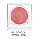 SHISEIDO Minimalist WhippedPowder Blush 8 tonos