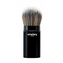 SISLEY PINCEAU PHYTO-TOUCHES