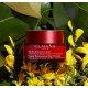 CLARINS MULTI INTENSIVE DIA PIEL NORMAL 