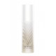 SENSAI LIFT FOCUS ESSENCE