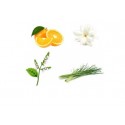 Cítrica Floral