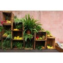 Chypre Frutal 