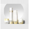 SENSAI ABSOLUTE SILK 