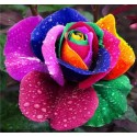 Oriental Floral