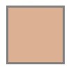 3+ Apricot