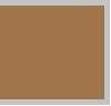 NW 40 ALMOND BEIGE
