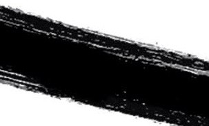 01 BLACK TULIP 