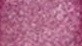 02 PURPLE