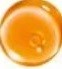 01 honey